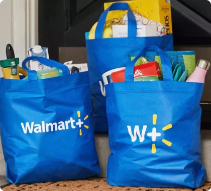 Nonwoven Grocery Bags
               